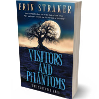 3D view of Premade Horror Book Cover - Big Stone