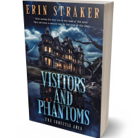 3D view of Premade Horror Book Cover - Ebony Clay
