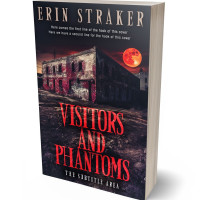 3D view of Premade Horror Book Cover - Baltic Sea