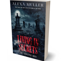 3D view of Premade Mystery & Thriller & Suspense Book Cover - Mirage