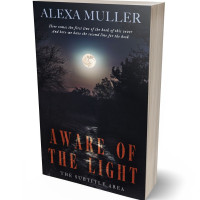 3D view of Premade Horror Book Cover - Shark