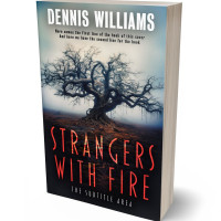 Tablet view of Clam Shell #15067 - Premade Abstract Book Cover