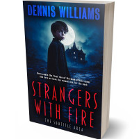 3D view of Premade Abstract Book Cover - Firefly