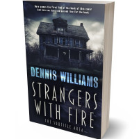 3D view of Mirage #15073 - Premade Abstract Book Cover