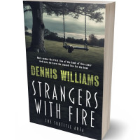 3D view of Shark #15074 - Premade Abstract Book Cover