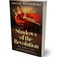 3D view of Premade Historical Book Cover - Coffee Bean