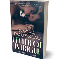 3D view of Premade Erotica Book Cover - Charade