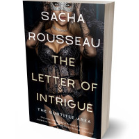 3D view of Premade Erotica Book Cover - Rodeo Dust