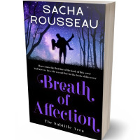 3D view of Premade Romance Book Cover - Ebony