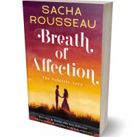 3D view of Premade Erotica Book Cover - Stiletto