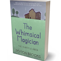 3D view of Premade Children's Book Cover - Envy