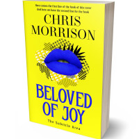 3D view of Premade Chick Lit Book Cover - Persian Blue