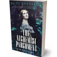 3D view of Premade Historical Book Cover - Ebony Clay