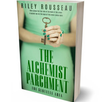 3D view of Premade Chick Lit Book Cover - Norway