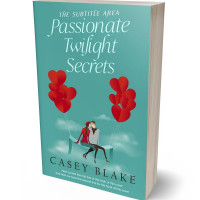 3D view of Premade Romance Book Cover - Tradewind