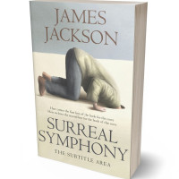 Tablet view of Moon Mist #15516 - Premade Abstract Book Cover