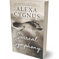 Tablet view of Nomad #15534 - Premade Abstract Book Cover