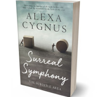 3D view of Premade Literary Fiction Book Cover - Storm Dust