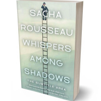 3D view of Premade Abstract Book Cover - Tasman