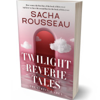 3D view of Premade Abstract Book Cover - Cold Turkey