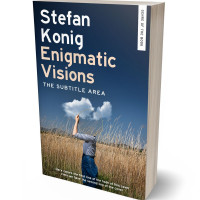 Tablet view of Pickled Bluewood #15614 - Premade Abstract Book Cover