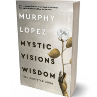 3D view of Ash #15624 - Premade Abstract Book Cover