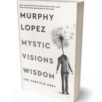 Tablet view of Pampas #15626 - Premade Abstract Book Cover