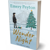 3D view of Premade Chick Lit Book Cover - Ziggurat