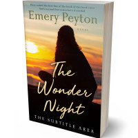 Tablet view of Night Rider #15742 - Premade Mystery & Thriller & Suspense Book Cover