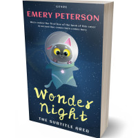 3D view of Premade Science Fiction Book Cover - Big Stone