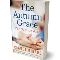 3D view of Premade Romance Book Cover - Westar