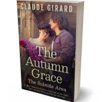 3D view of Premade Romance Book Cover - Thunder