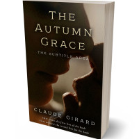 3D view of Premade Erotica Book Cover - Graphite