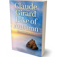 3D view of Cloud #15886 - Premade Travel Book Cover