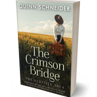 Tablet view of Birch #15966 - Premade Travel Book Cover