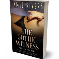 3D view of Premade Erotica Book Cover - Laser