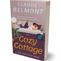 3D view of Premade Chick Lit Book Cover - Thatch