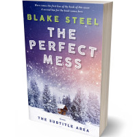 3D view of Premade Literary Fiction Book Cover - Chatelle