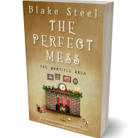 3D view of Premade Chick Lit Book Cover - Muesli