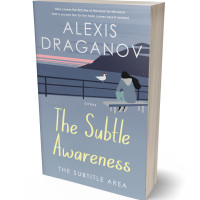 3D view of Premade Literary Fiction Book Cover - Regent Gray