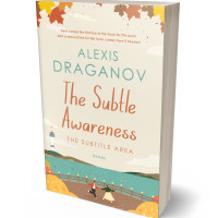 3D view of Premade Chick Lit Book Cover - Merino