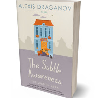 3D view of Premade Chick Lit Book Cover - Cloud