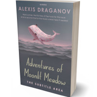 Tablet view of Shuttle Gray #16372 - Premade Surreal Book Cover