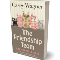 3D view of Premade Teen & Young Adult Book Cover - Stonewall