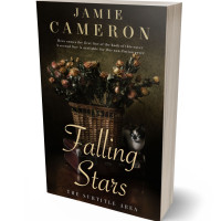 3D view of Eternity #16497 - Premade Poetry Book Cover