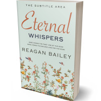 3D view of Premade Poetry Book Cover - Tasman