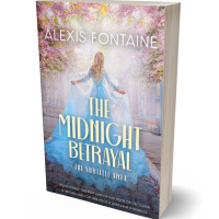 3D view of Premade Fantasy Book Cover - French Gray