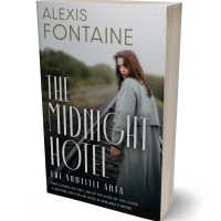 3D view of Premade Literary Fiction Book Cover - Pumice