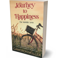 3D view of Premade Romance Book Cover - Brandy