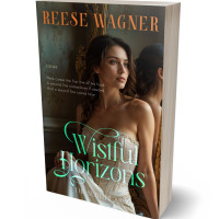 3D view of Premade Literary Fiction Book Cover - Birch